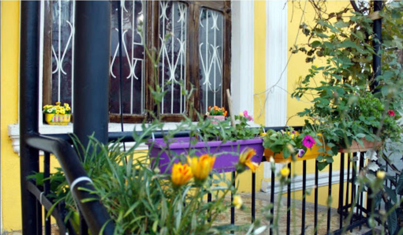 Colors Hostel Tbilisi Exterior photo