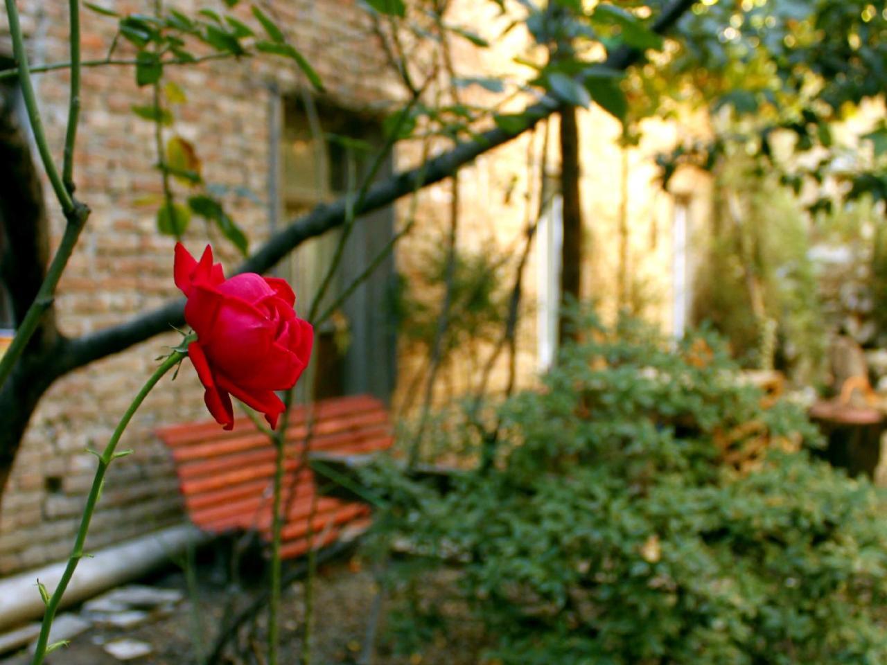 Colors Hostel Tbilisi Exterior photo